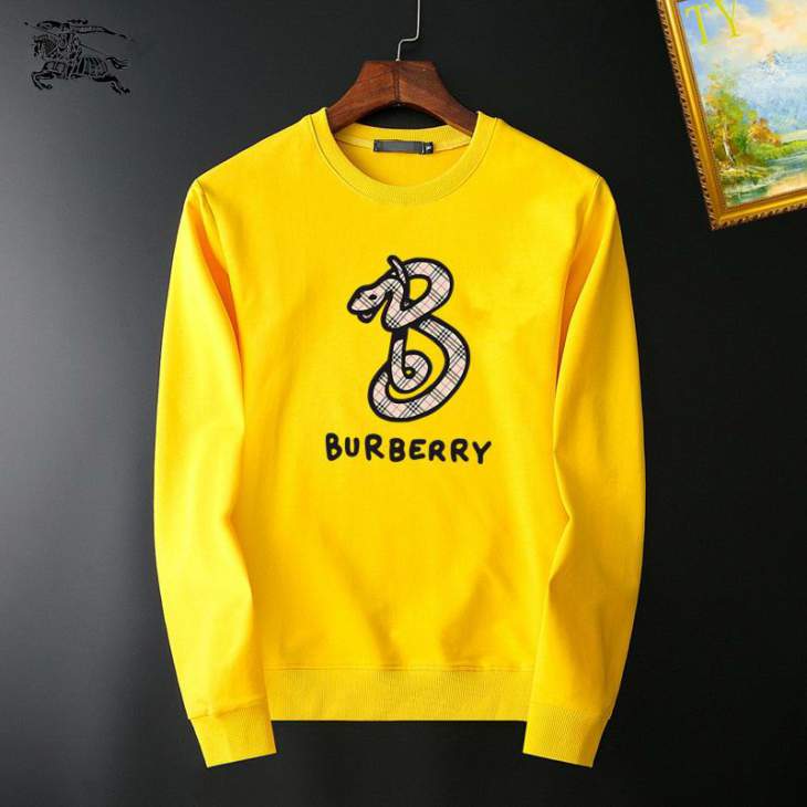 Picture of Burberry Sweatshirt _SKUBurberryM-3XL25tx16830802